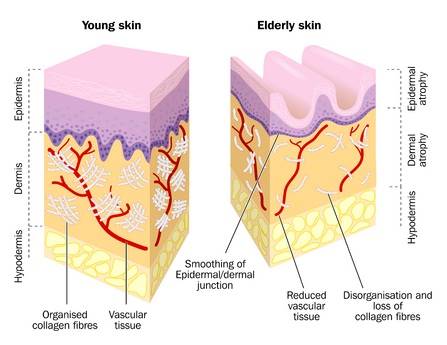 Advanced Molecular Serum. Rapid penetration with proven results.